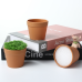 6 PCS * Brown Small Plant Pots, Plastic Planters for Flowers Plants, Succulents, Seed Starting Pots，Handmade Pipe Cleaner Potted Plant