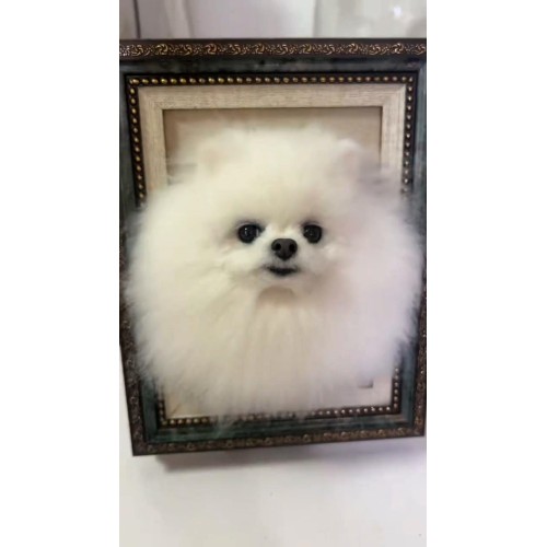 Head Pet Portraits Handmade 3D Dogs Wool Needle Felt Portraits with Wooden Frame | PetsMatter Solid&Bicolor 