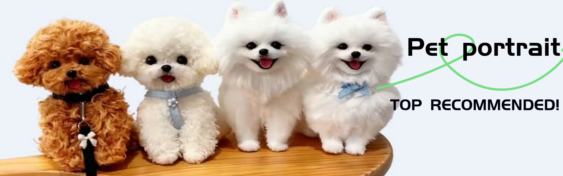 Banner 3
